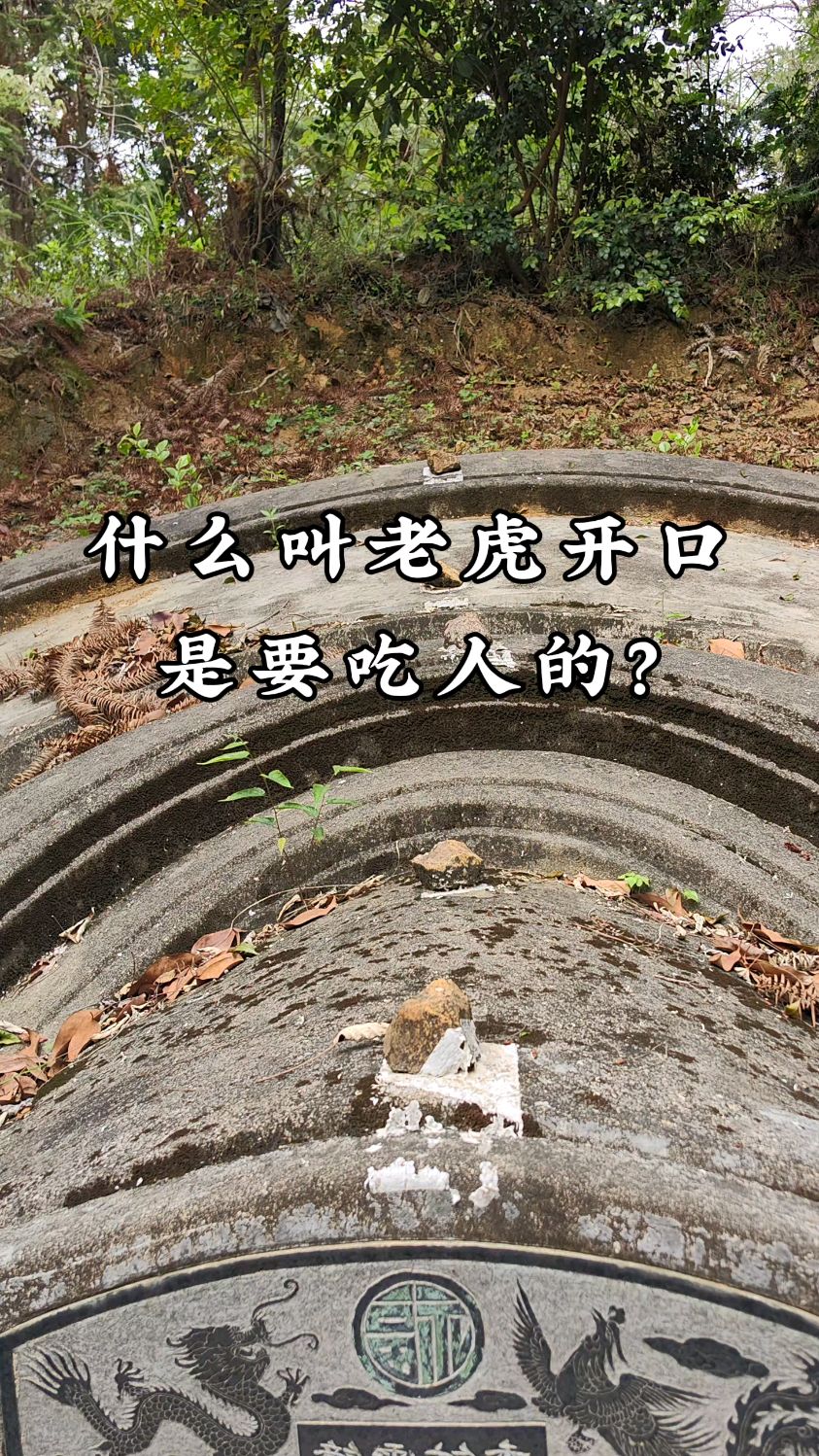 八字有白虎什么意思啊(八字有白虎什么意思啊女生) 八字有白虎什么意思啊(八字有白虎什么意思啊女生)