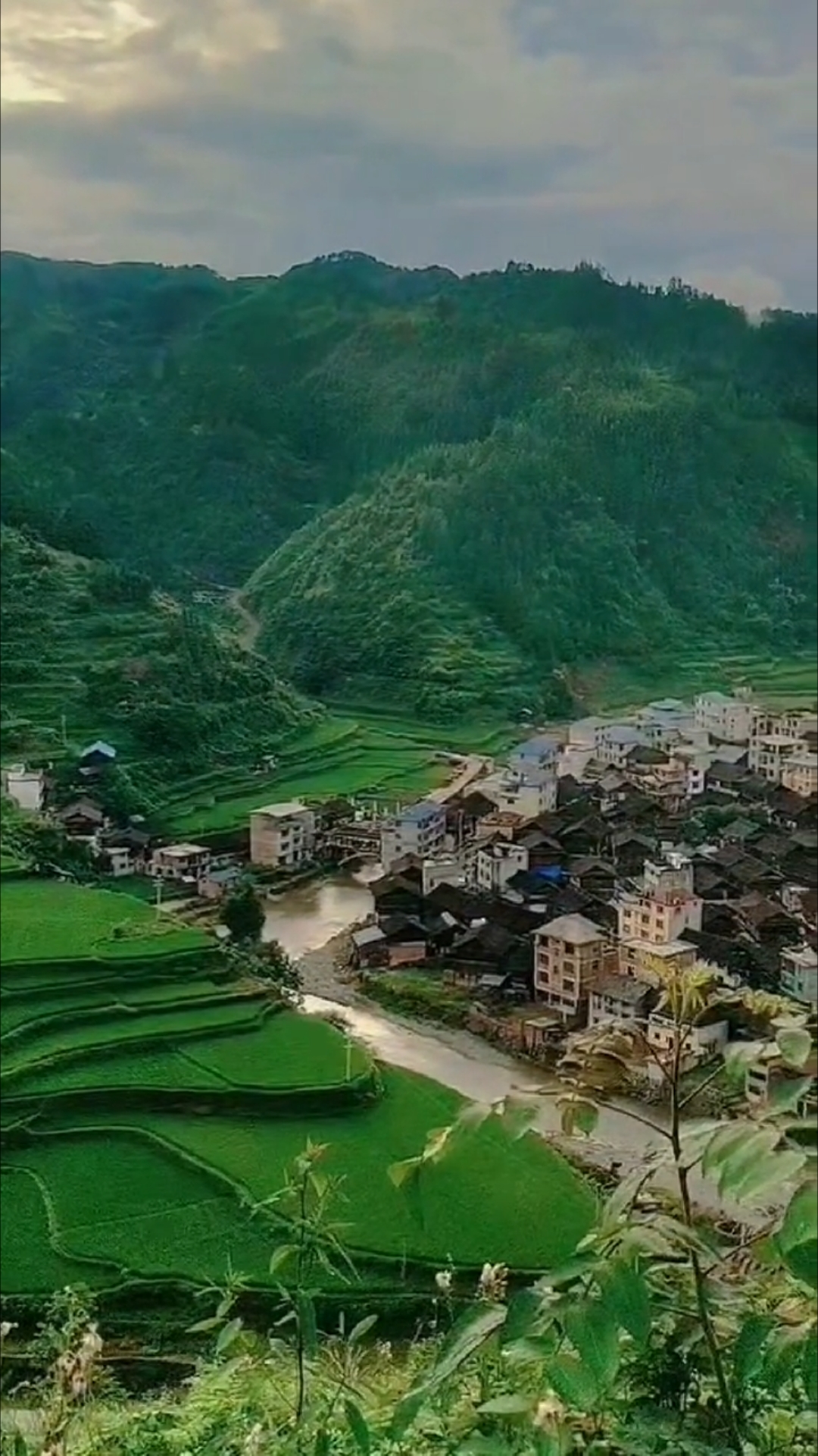 风水宝地实景照片(风水真龙脉坟墓图片)