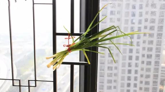大葱挂在窗户上有什么用途(大葱挂在窗户上有什么用途吗) 大葱挂在窗户上有什么用途(大葱挂在窗户上有什么用途吗)