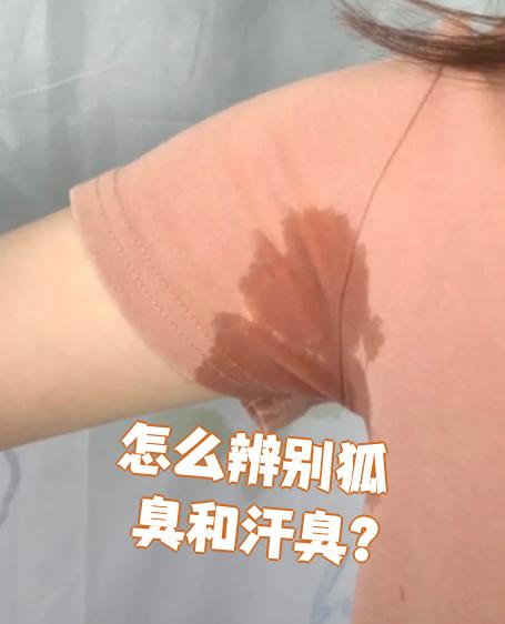 如何判断狐臭和汗臭(怎么判断自己有狐臭和汗臭)