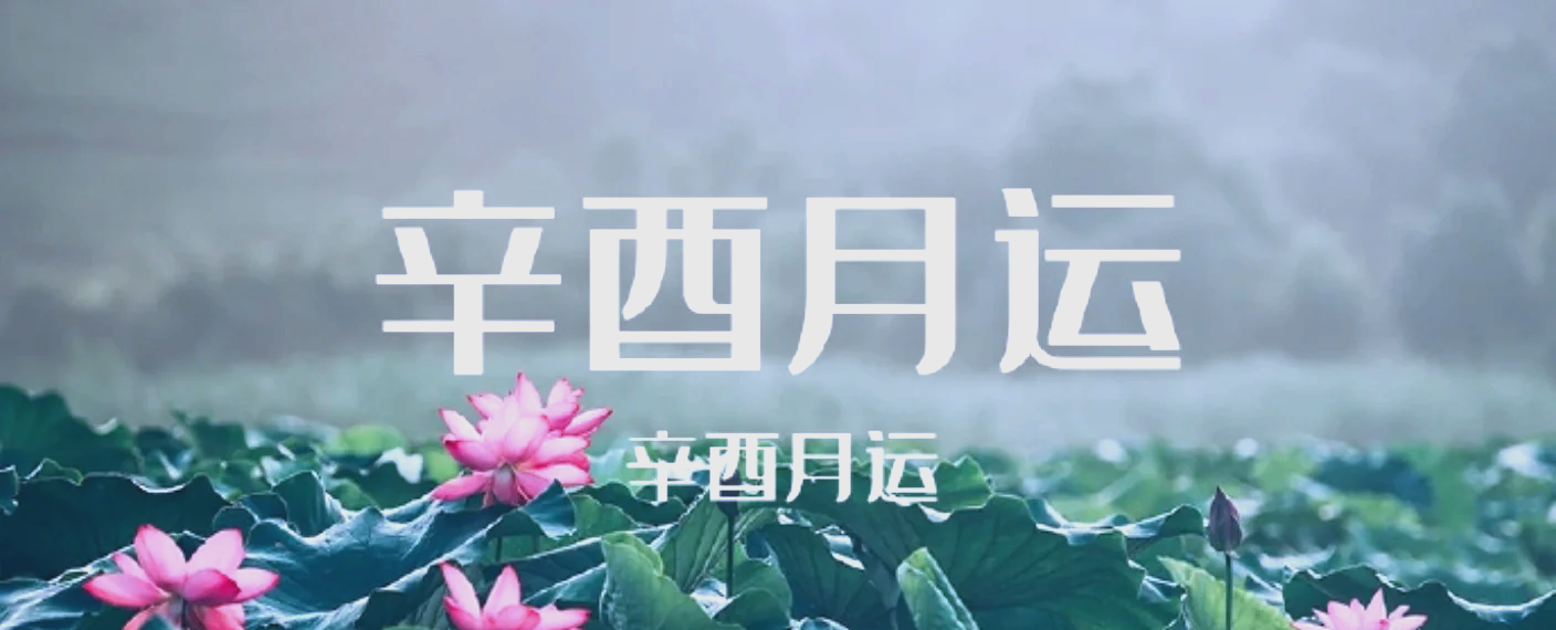 生肖9月运势(生肖9月运势虎)