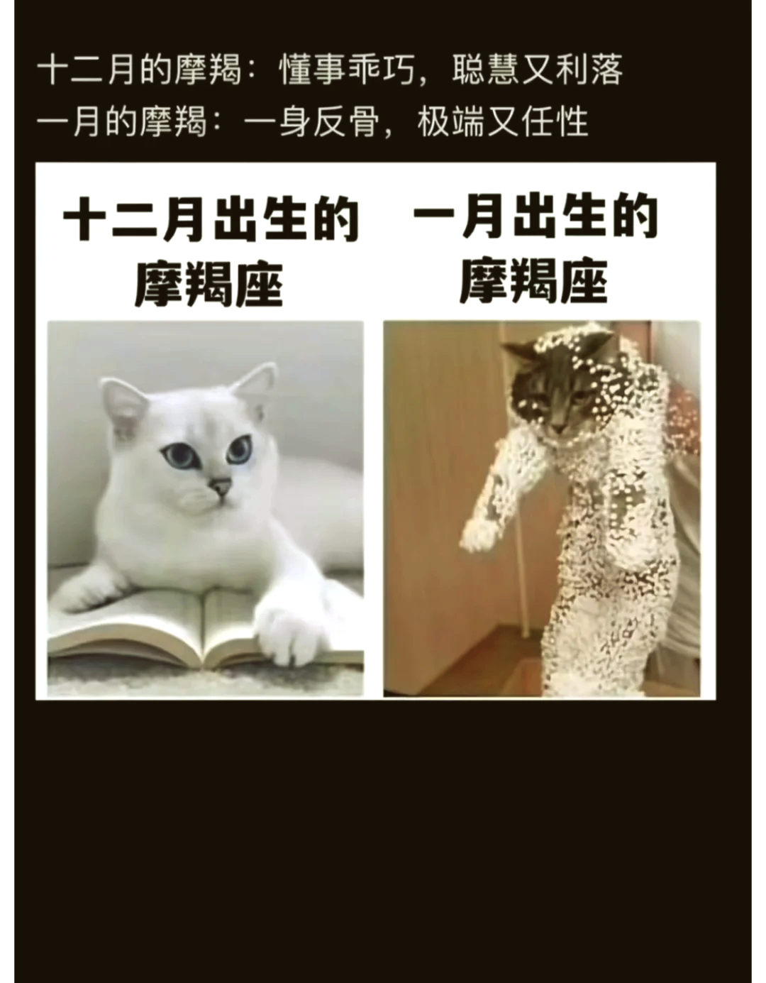 摩羯座新年运势(摩羯座新年运势如何)