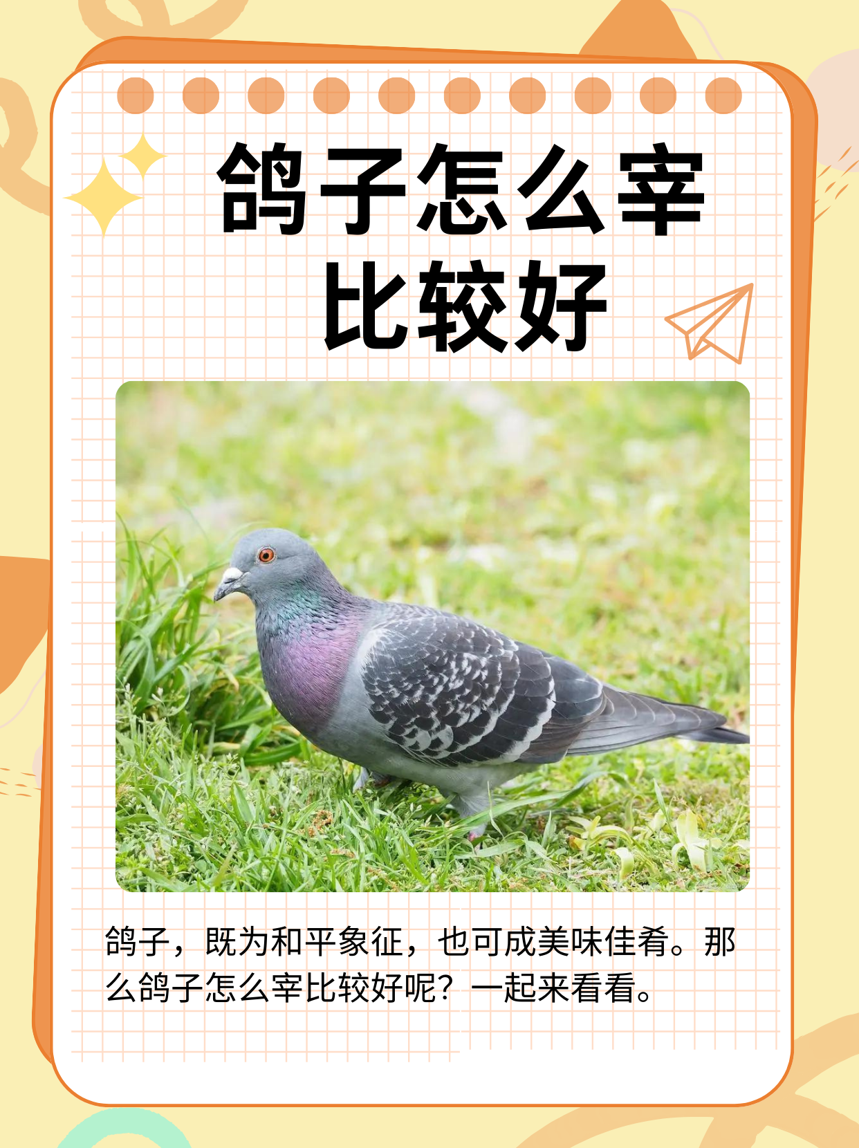 梦见鸽子的象征意义(女人梦见鸽子的象征意义) 梦见鸽子的象征意义(女人梦见鸽子的象征意义)