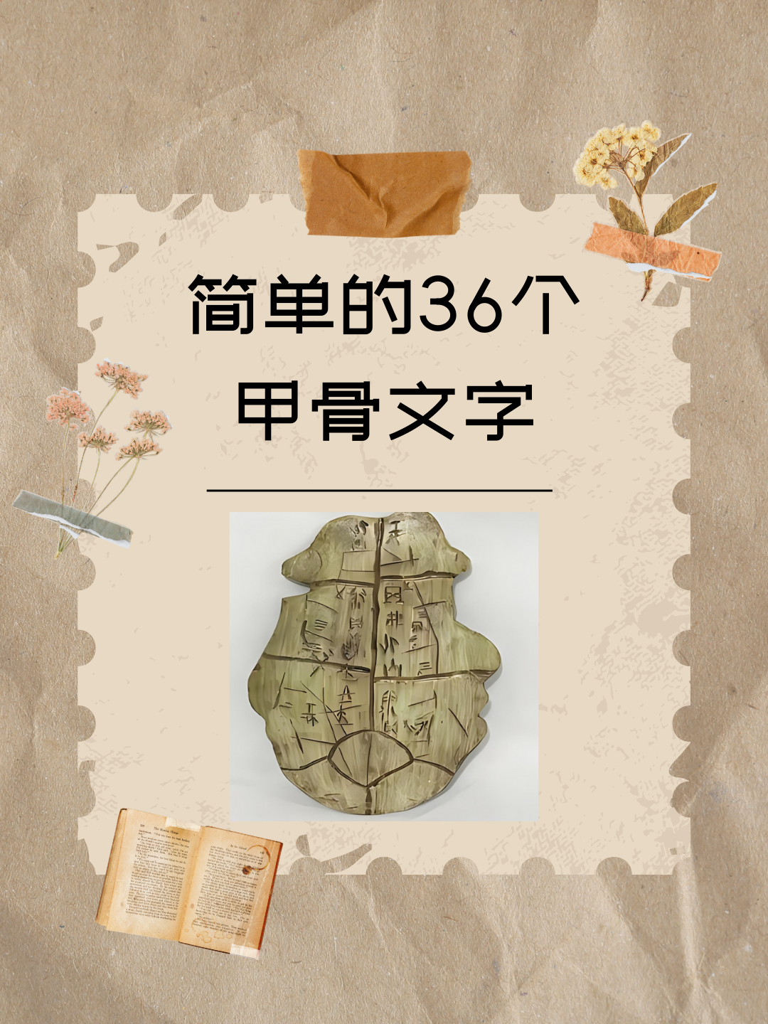 一事一占卜龟甲(龟甲占卜每日一占免费)
