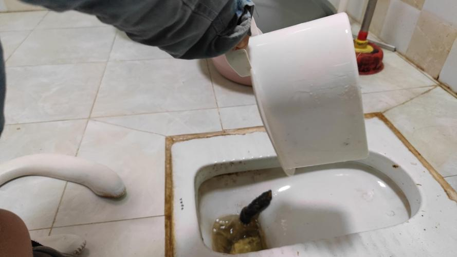 梦到拉屎了(梦到拉屎了很多屎) 梦到拉屎了(梦到拉屎了很多屎)