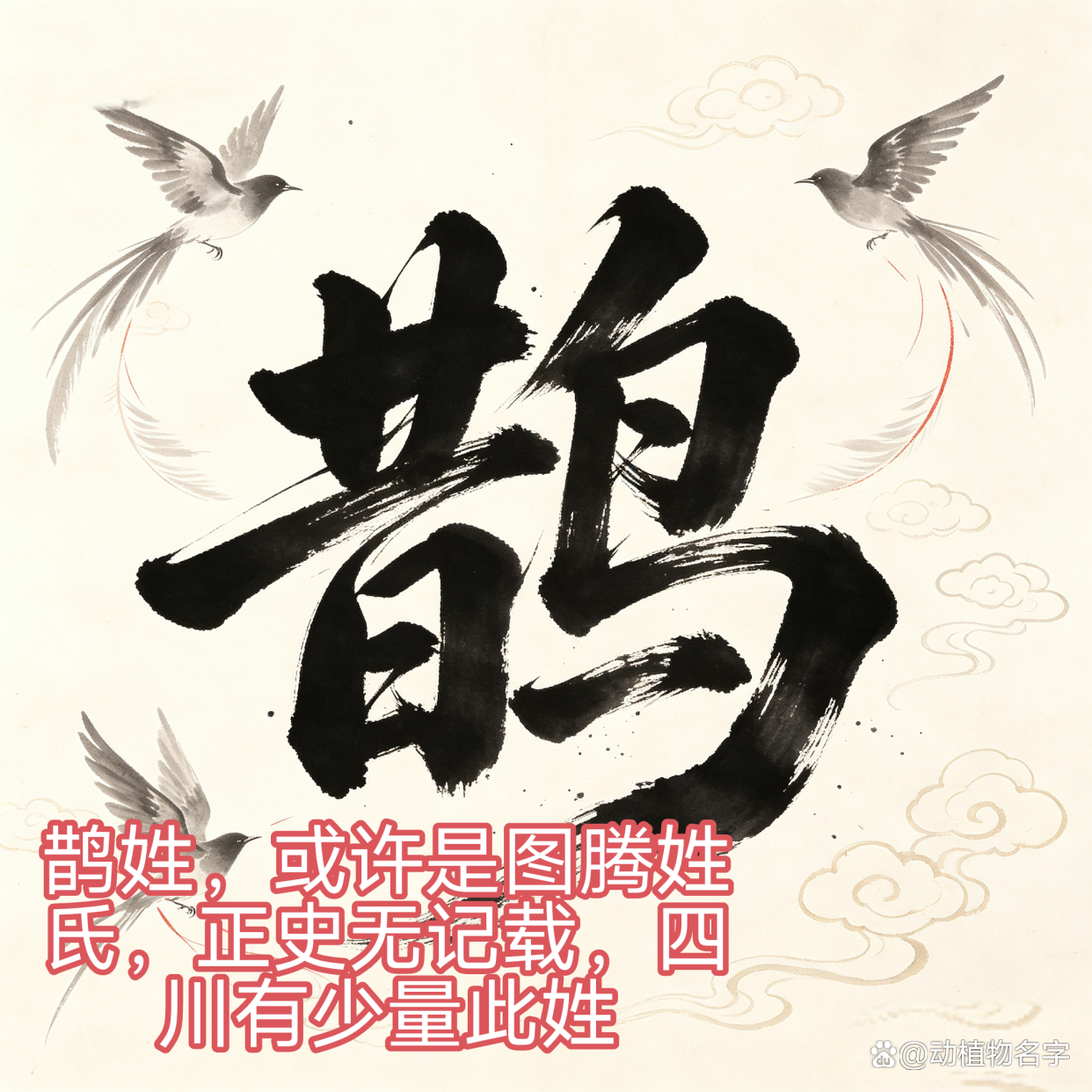 全国100大动物姓氏排名(全国100大动物姓氏排名图片) 全国100大动物姓氏排名(全国100大动物姓氏排名图片)