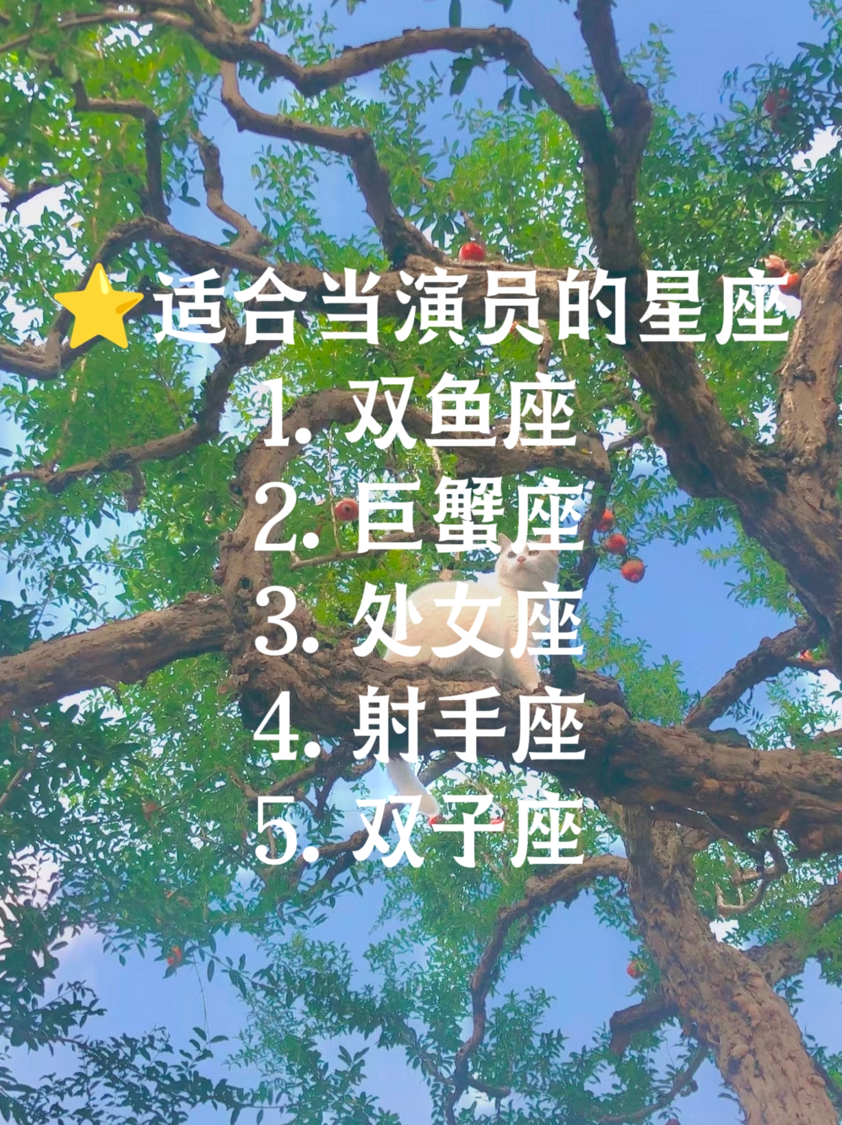 星座是伪科学吗(星座伪科学背后的心理效应)