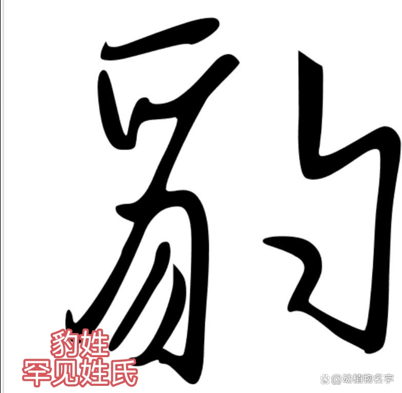 关于动物的姓氏(和动物有关的姓氏陕西有哪些)