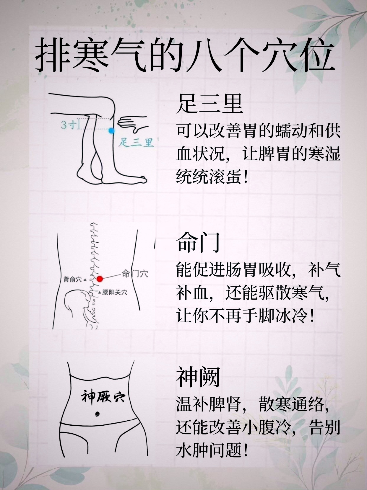 阴宅穴位大全(阴宅穴位选择要点) 阴宅穴位大全(阴宅穴位选择要点)