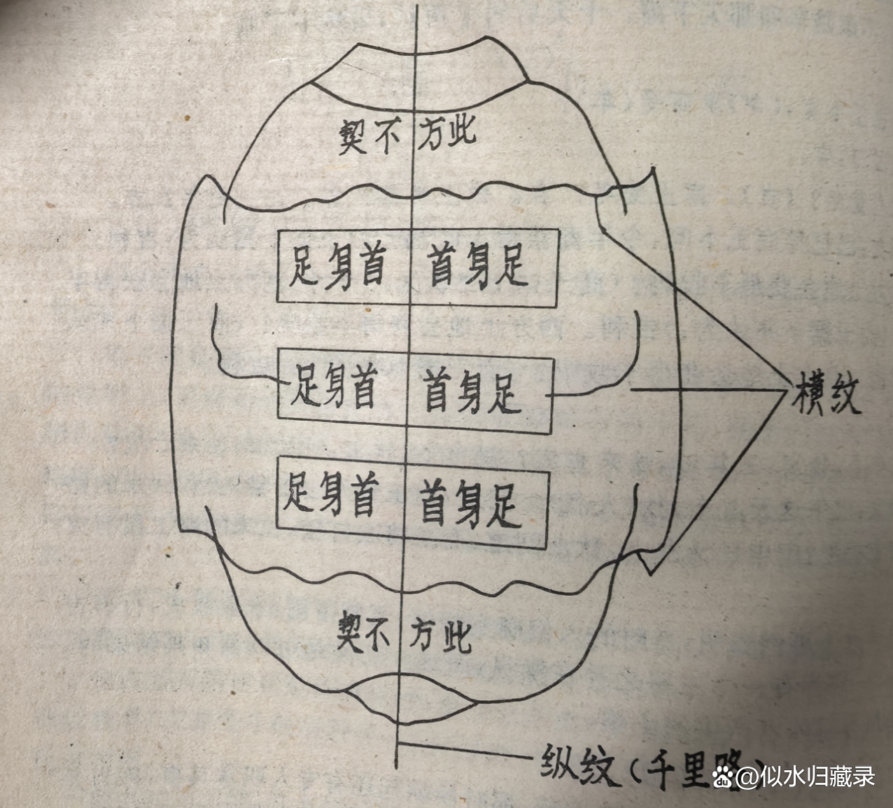关于占卜方式基本上有四种龟占的信息 关于占卜方式基本上有四种龟占的信息