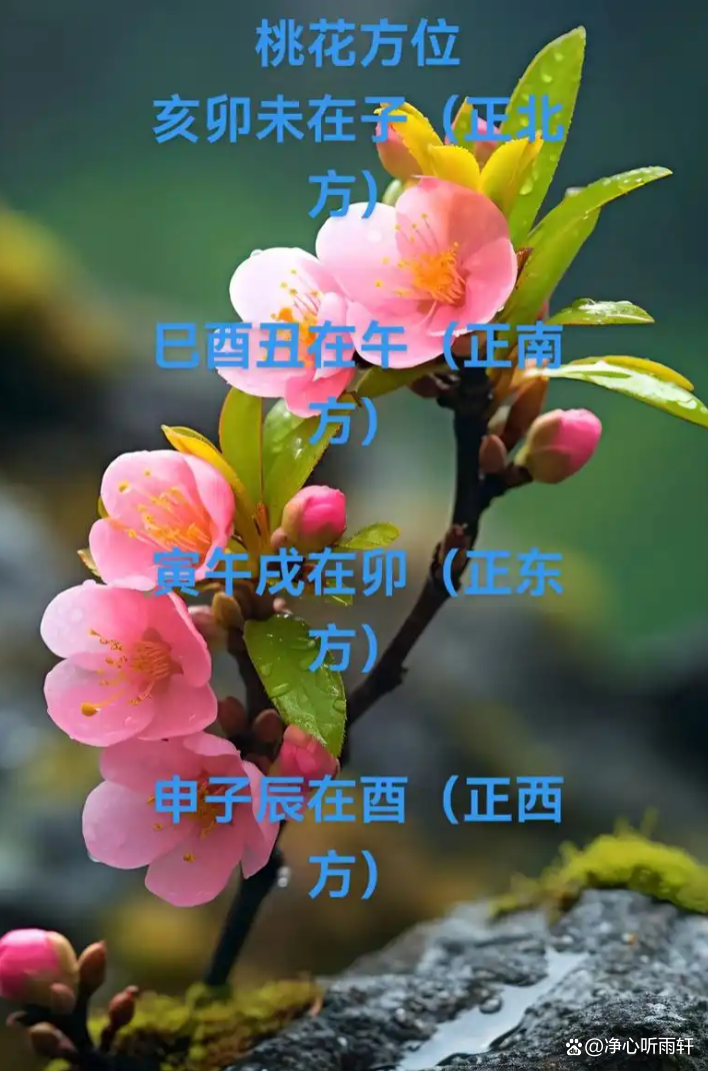 八字桃花是怎么说的(八字桃花最厉害的组合)