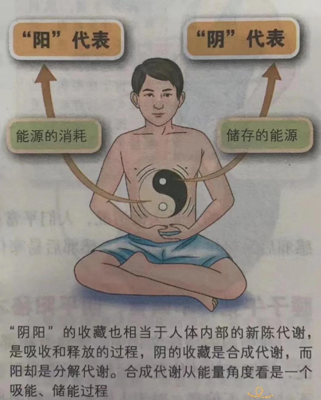 什么样的人适合学当阴阳学者(什么样的人适合学当阴阳学者呢)