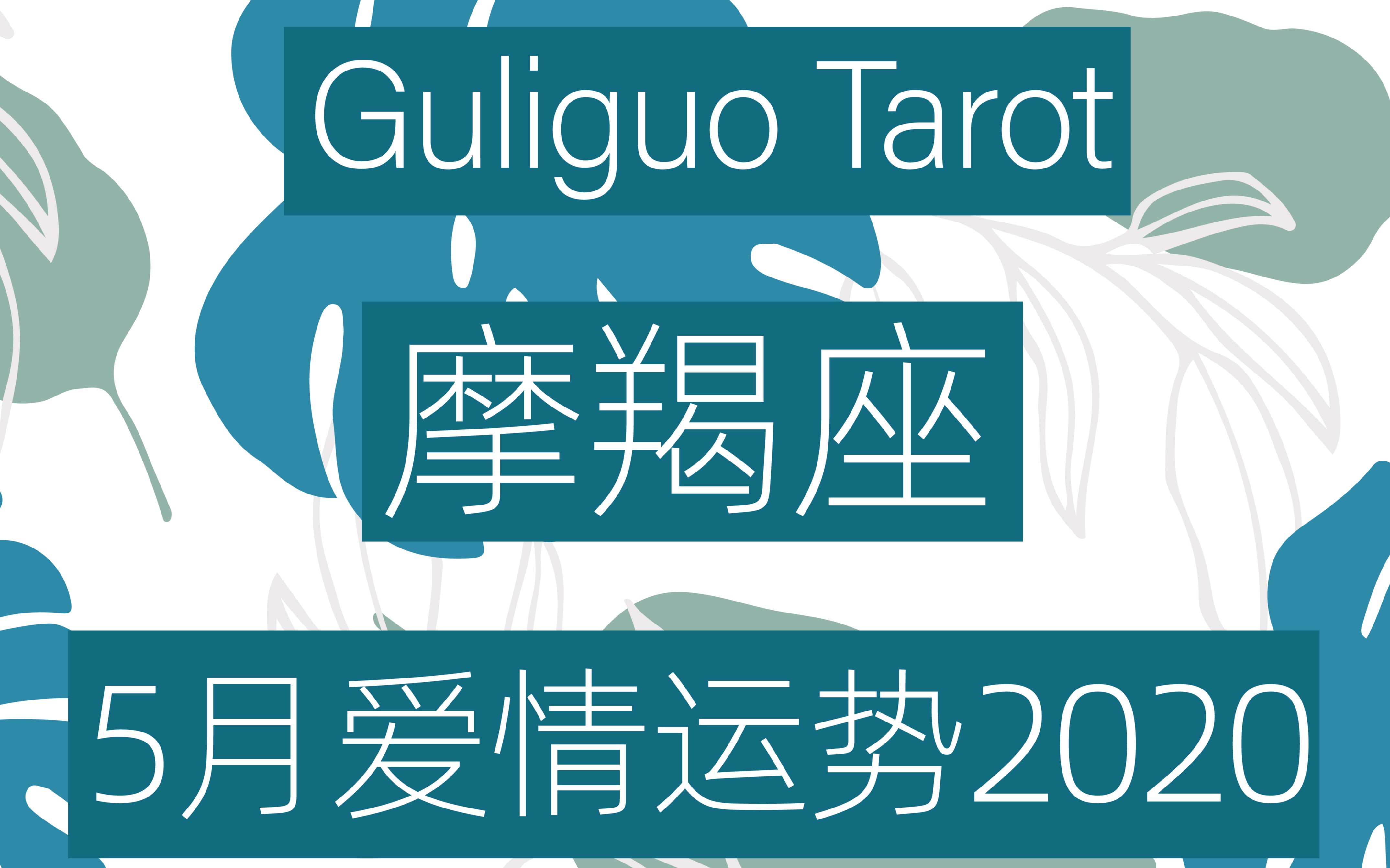 摩羯座年度运势解析(摩羯座2028年运势详解)