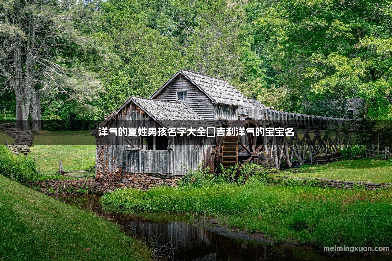 夏姓起名字大全男孩(夏姓古风清雅的名字男)