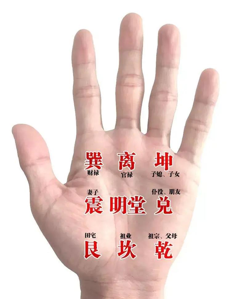 八字命理实战宝典(女命八字实例详解300例)