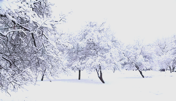 梦见下雪的象征意义(女人梦见下雪的象征意义) 梦见下雪的象征意义(女人梦见下雪的象征意义)
