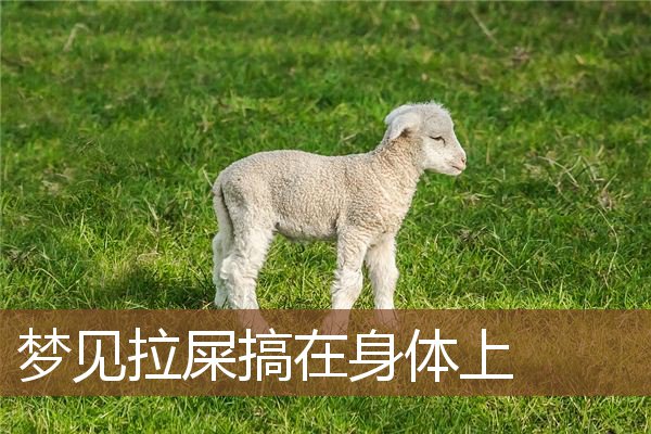梦到拉屎周公解梦(梦到拉屎是吉兆还是凶兆)