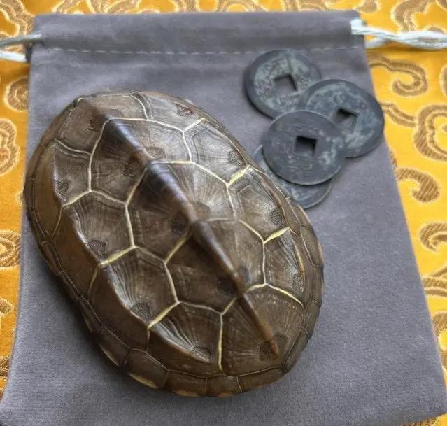 龟壳摇卦免费下载(龟壳摇卦免费下载安装)