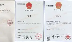 测名字打分免费(2026免费测名打分)
