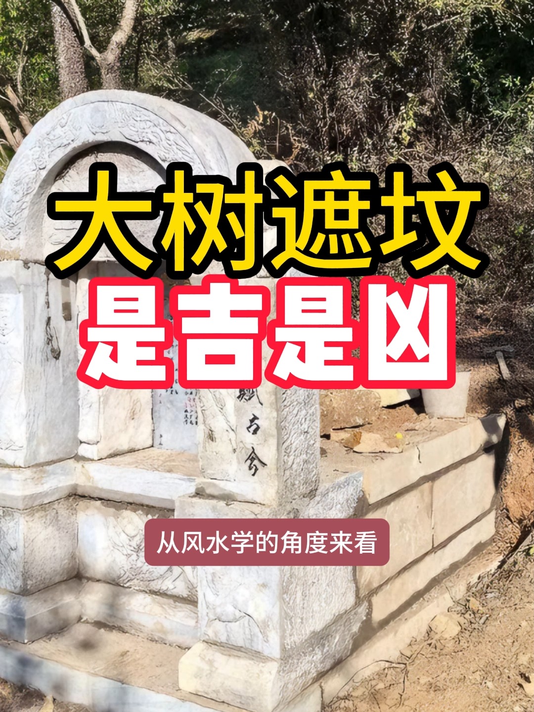 墓地风水是迷信还是科学(墓地风水是迷信还是科学的) 墓地风水是迷信还是科学(墓地风水是迷信还是科学的)