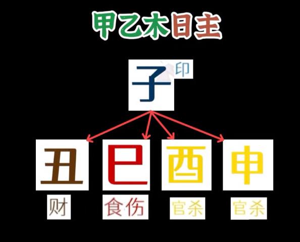 八字有科学道理吗为什么(为什么有的八字很好算) 八字有科学道理吗为什么(为什么有的八字很好算)