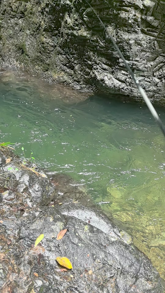 如何钓苦花鱼(钓苦花鱼最佳时间段)