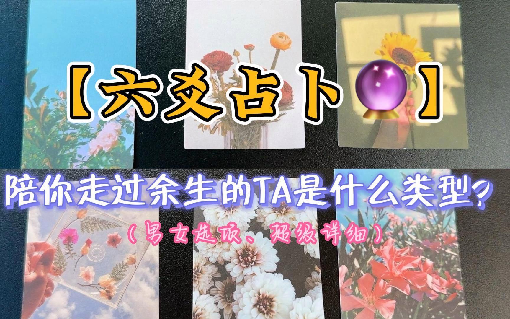 占卜卜卦的拼音是什么(占卜卜卦的拼音是什么写)