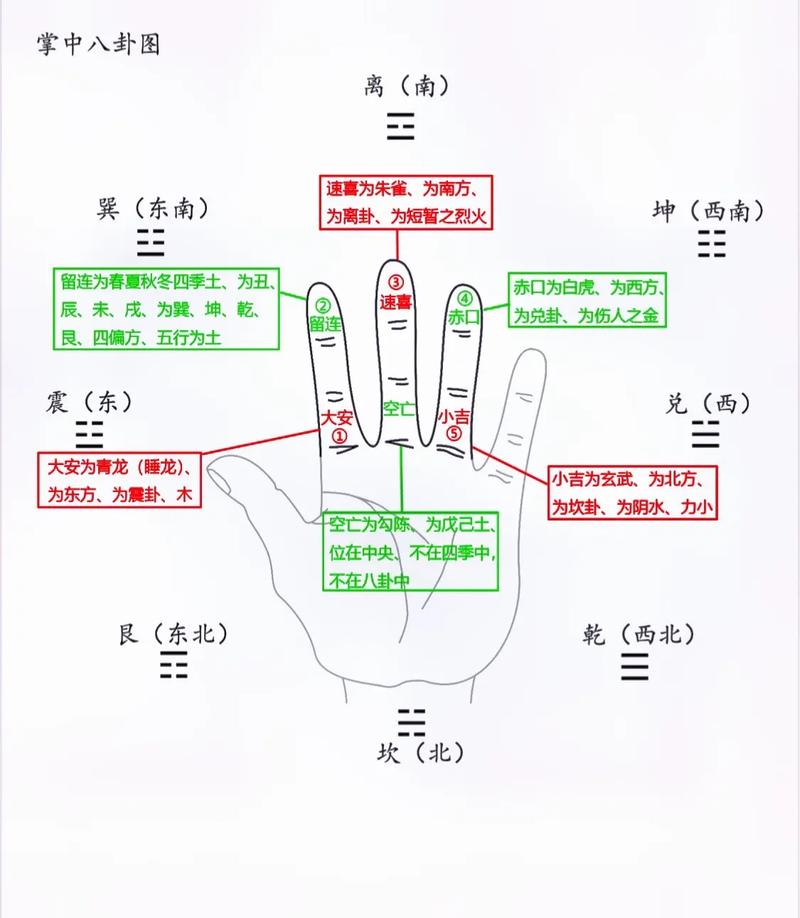 华易网免费八字排盘怎么用(易朴周易大学堂八字排盘app) 华易网免费八字排盘怎么用(易朴周易大学堂八字排盘app)
