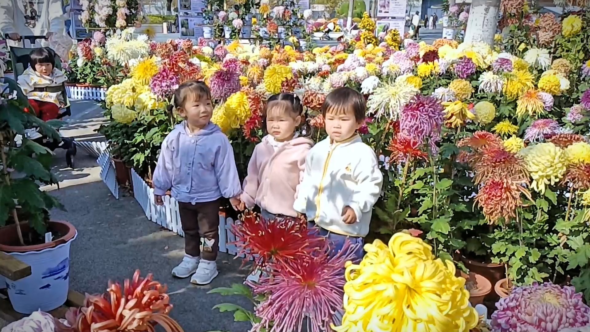 彩虹的约定经典儿歌(彩虹的约定熊孩子儿歌)