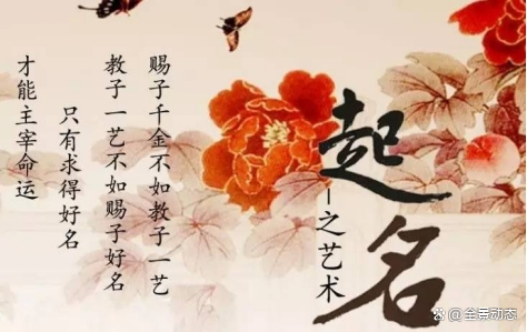取名费用(取名费用怎么称呼)