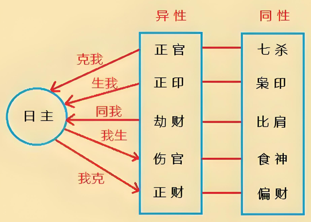 八字里的十神是指什么(八字里的十神是指什么意思)