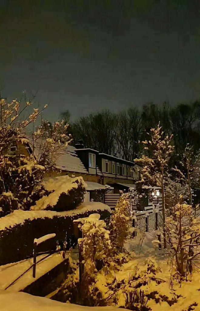 梦见下雪代表什么好运(梦见下雪会带来什么好运)