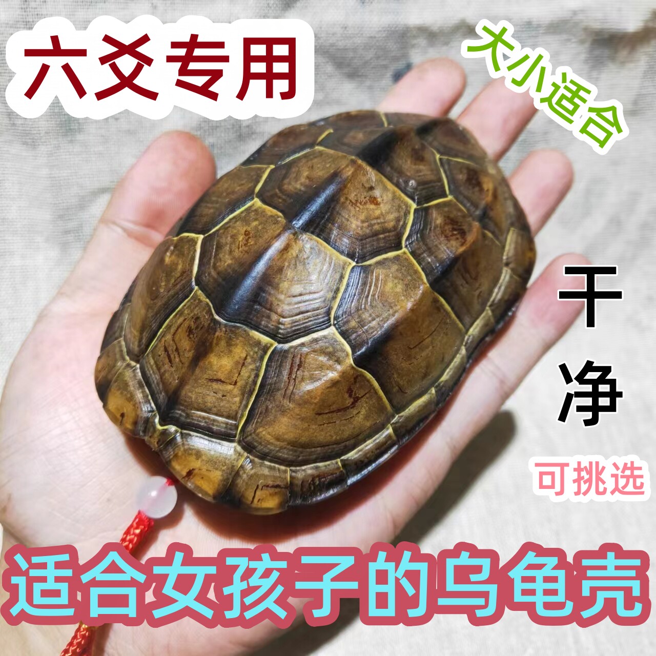 龟壳摇卦新手入门(6枚铜钱卦的龟壳起卦方法详解) 龟壳摇卦新手入门(6枚铜钱卦的龟壳起卦方法详解)