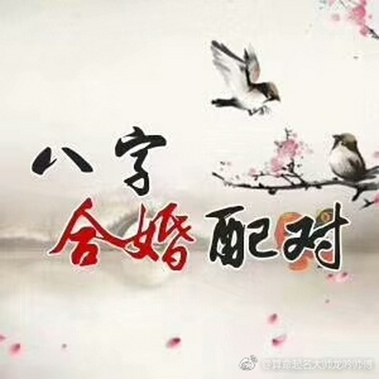 包含八字合婚算命方法有哪些的词条