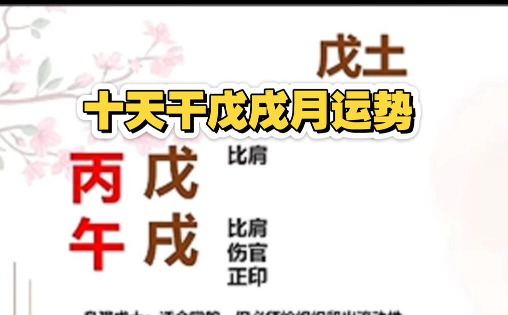 八字免费查自己运势(免费测八字最准的软件) 八字免费查自己运势(免费测八字最准的软件)