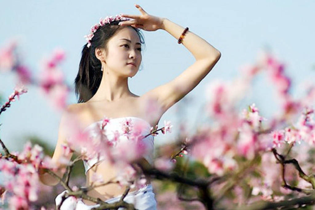 生辰八字怎么看桃花运(八字查桃花免费查询)