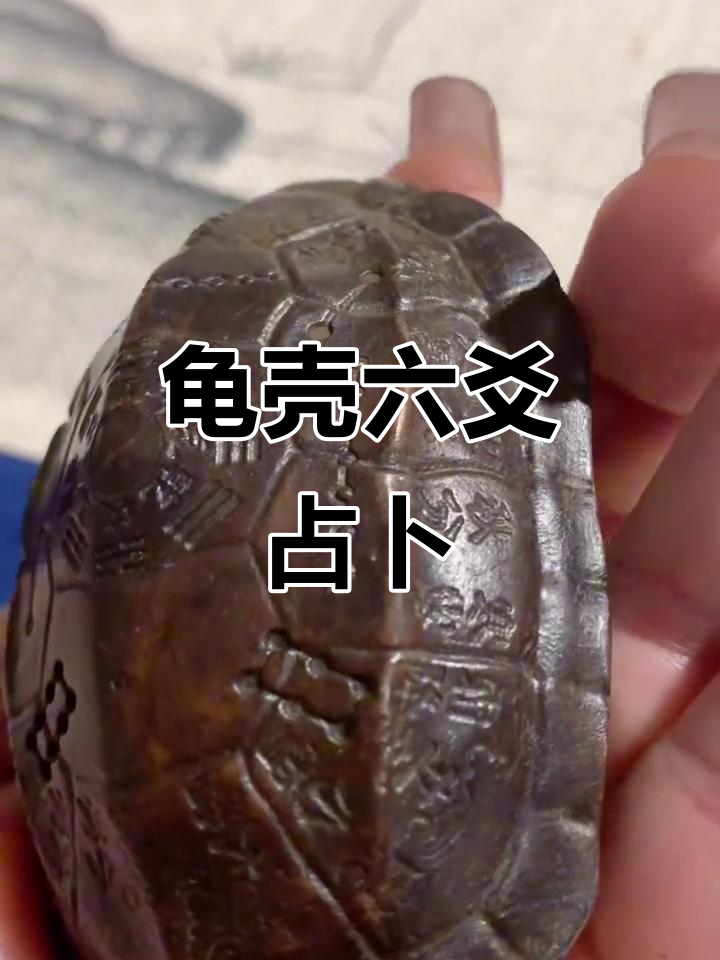 六爻龟壳占卜结果怎么看出来(六爻龟壳占卜怎么用)