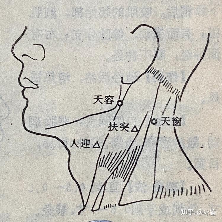 风水玄学常见误区有哪些方面(风水玄学常见误区有哪些方面呢)