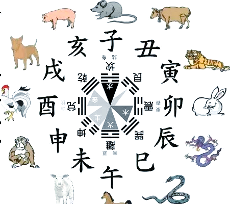 西北缺角大忌属相(西北缺角大忌属相,适合挂什么画) 西北缺角大忌属相(西北缺角大忌属相,适合挂什么画)