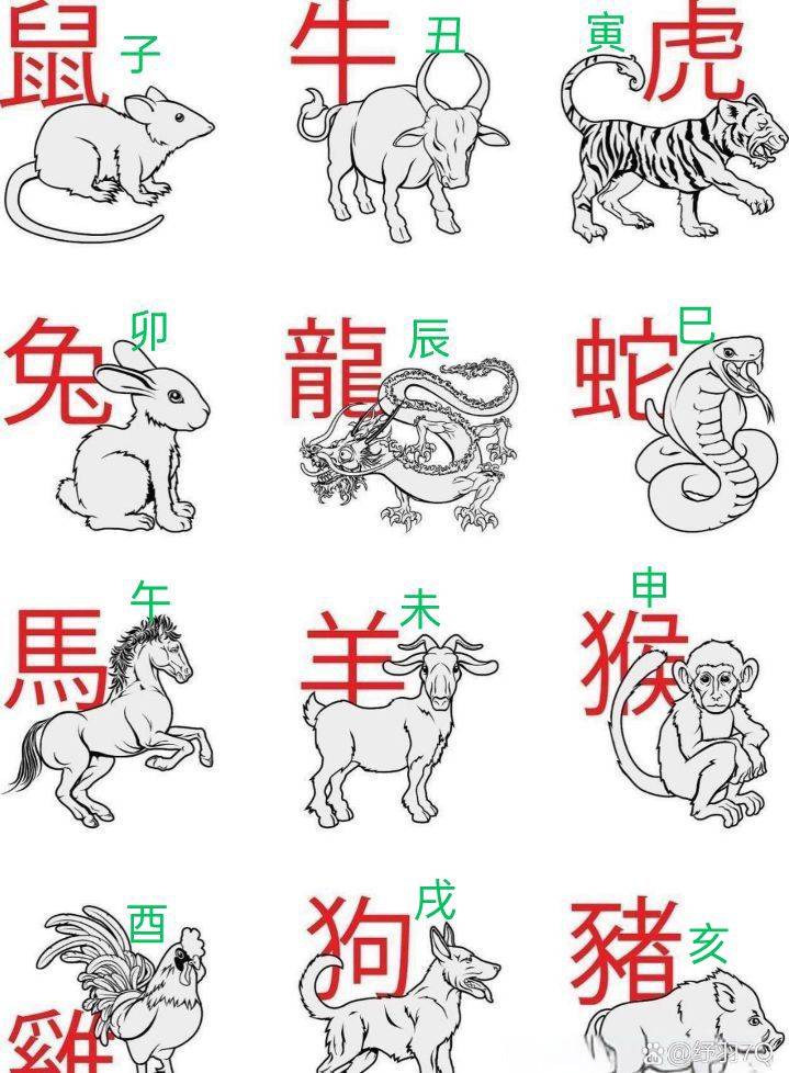 八字什么是白虎和红虎(白虎八字中代表什么意思啊)