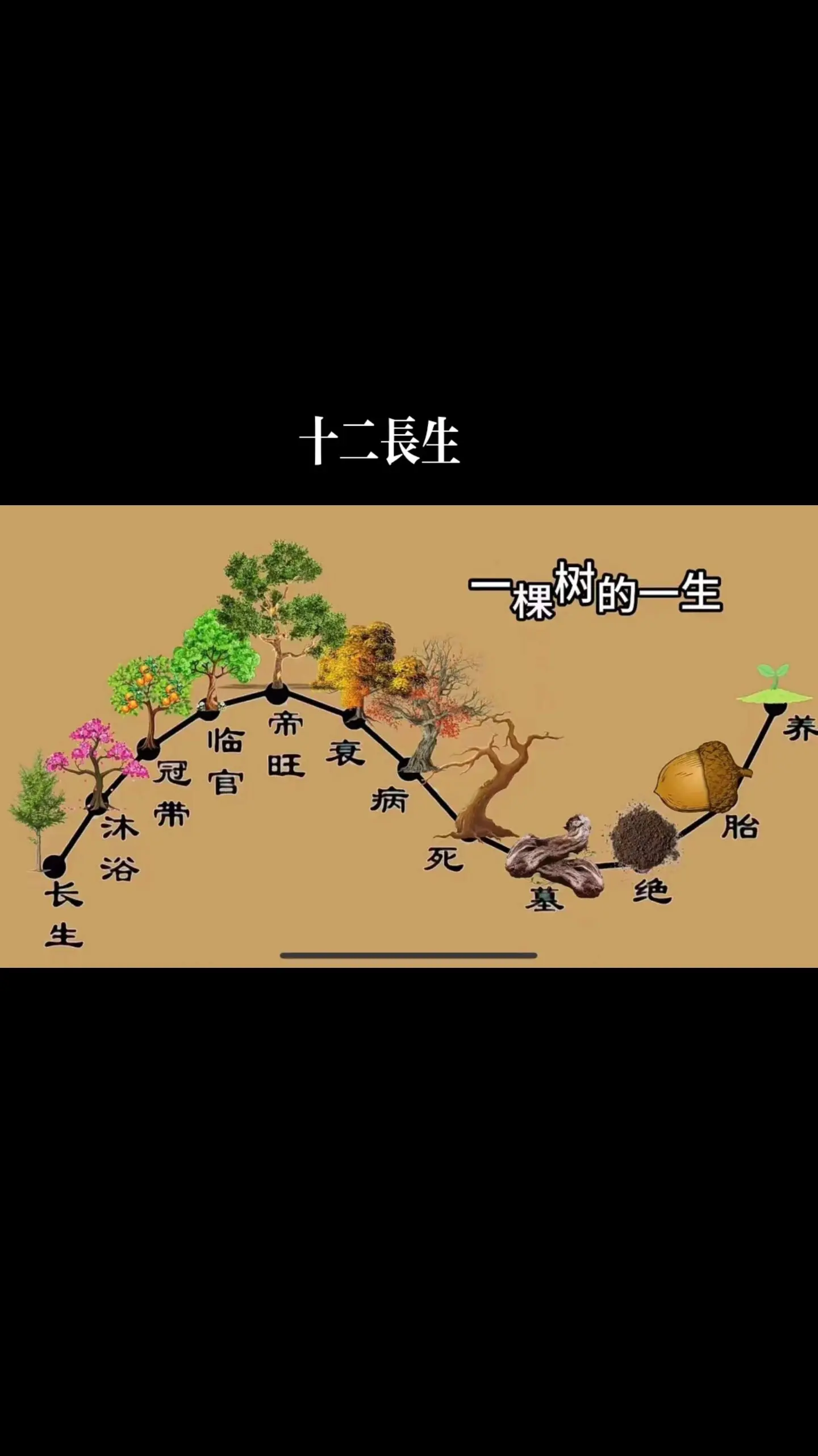 十二骨相论人生(十二骨相算命结果) 十二骨相论人生(十二骨相算命结果)