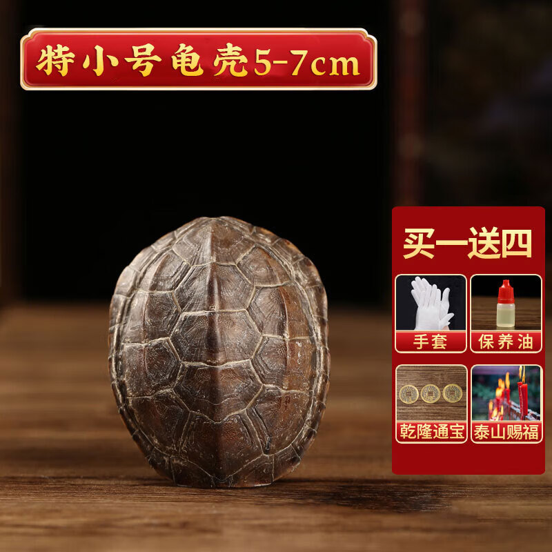 六爻占卜龟壳摇卦全是背(六爻龟壳占卜一日一卦步骤)