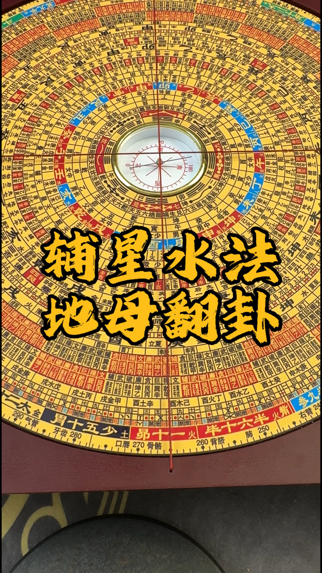 风水玄学开局从摆地摊开始(风水玄学从摆摊开始,最新章节列表) 风水玄学开局从摆地摊开始(风水玄学从摆摊开始,最新章节列表)