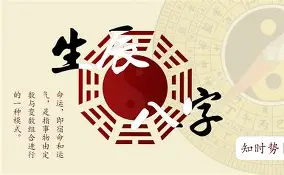 取名指南(取名指南pdf电子版免费下载)