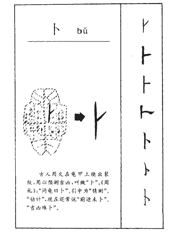 占卜师的拼音(占卜师的拼音怎么写)