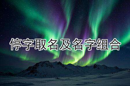 起名网官网免费(起名网官网免费测名打分)
