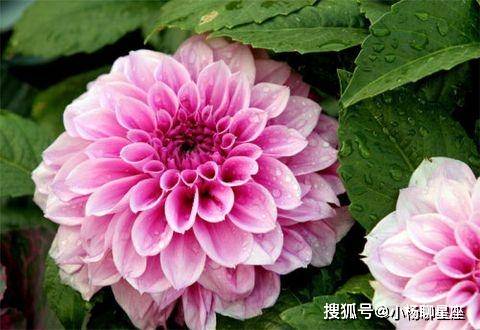 三世书看一生财禄(三世书根据生辰八字看衣禄) 三世书看一生财禄(三世书根据生辰八字看衣禄)