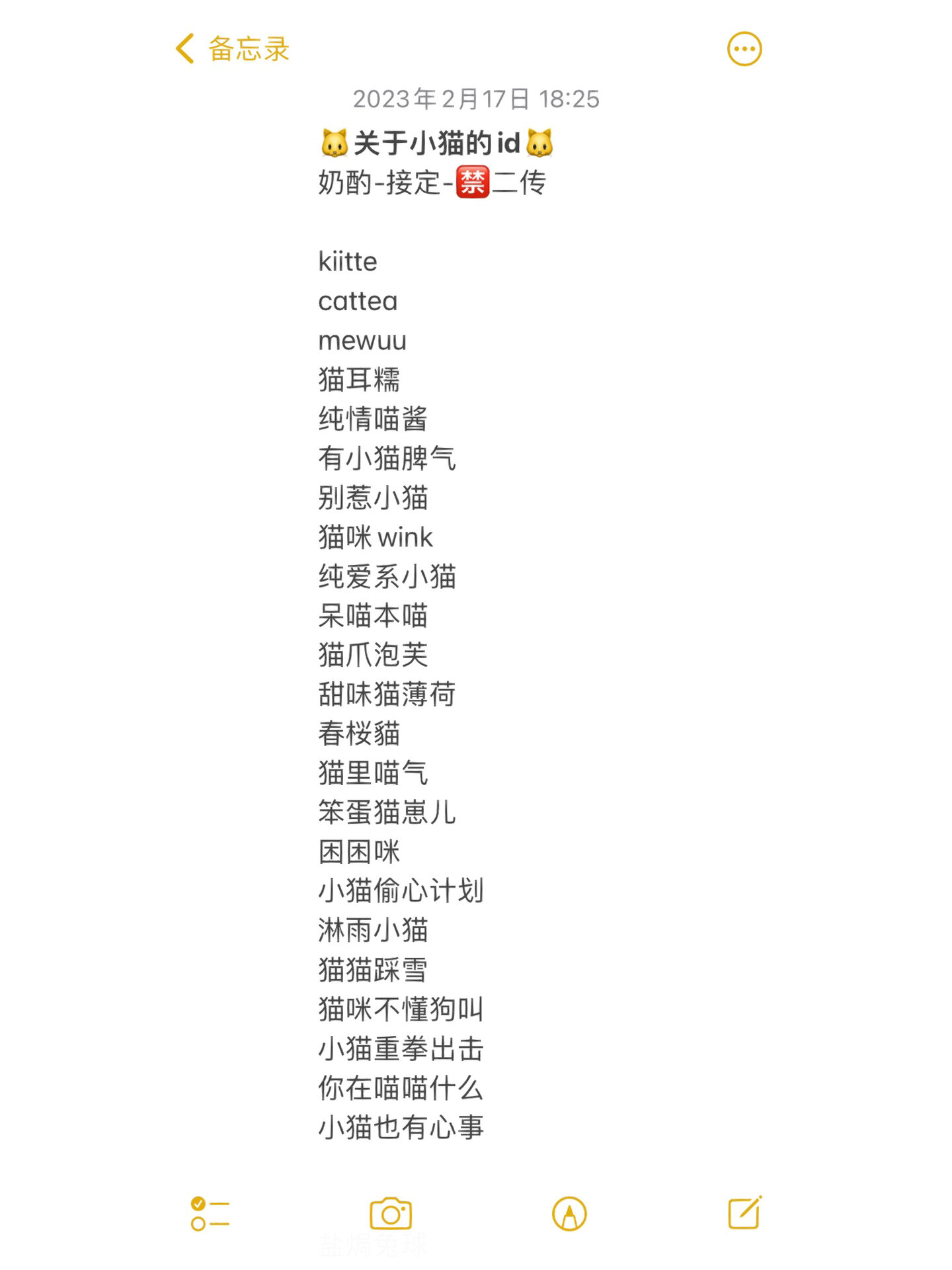 给小猫起名字(猫咪起名字旺主人)