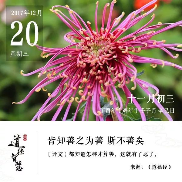 杨清和名字寓意好吗(杨清和名字的五行属性)