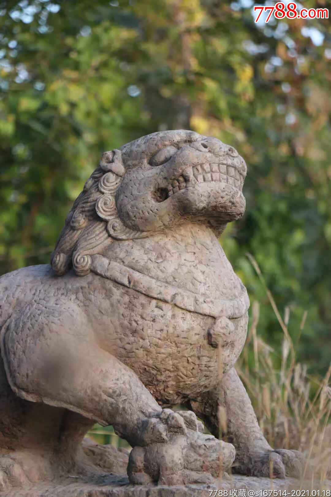 风水师张秩也简介(风水师张秩也个人简历)